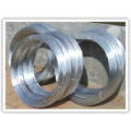 Hebei Anping Profession Electro Galvanized Iron Wire